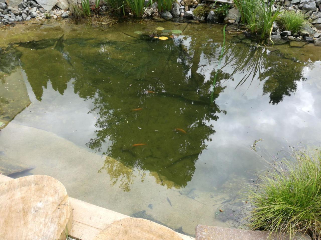 Hotel Hlaska Zlenice 外观 照片
